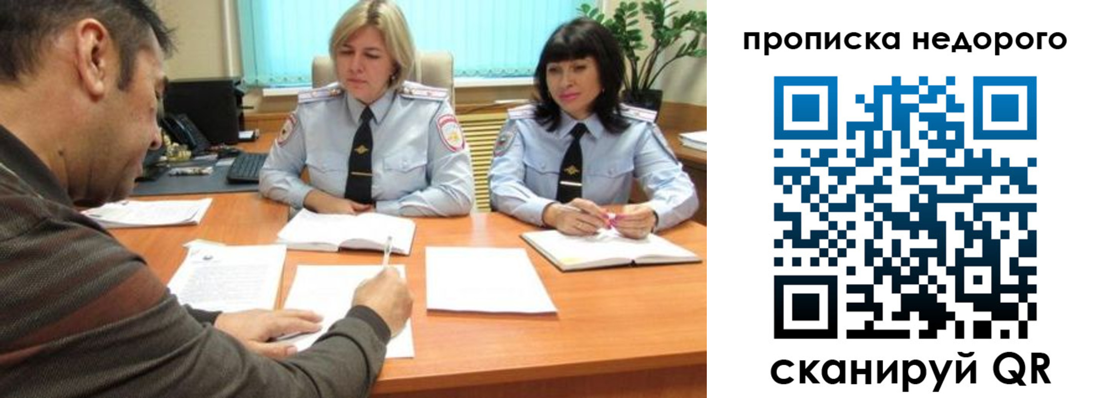 прописка поиск в Ногинске